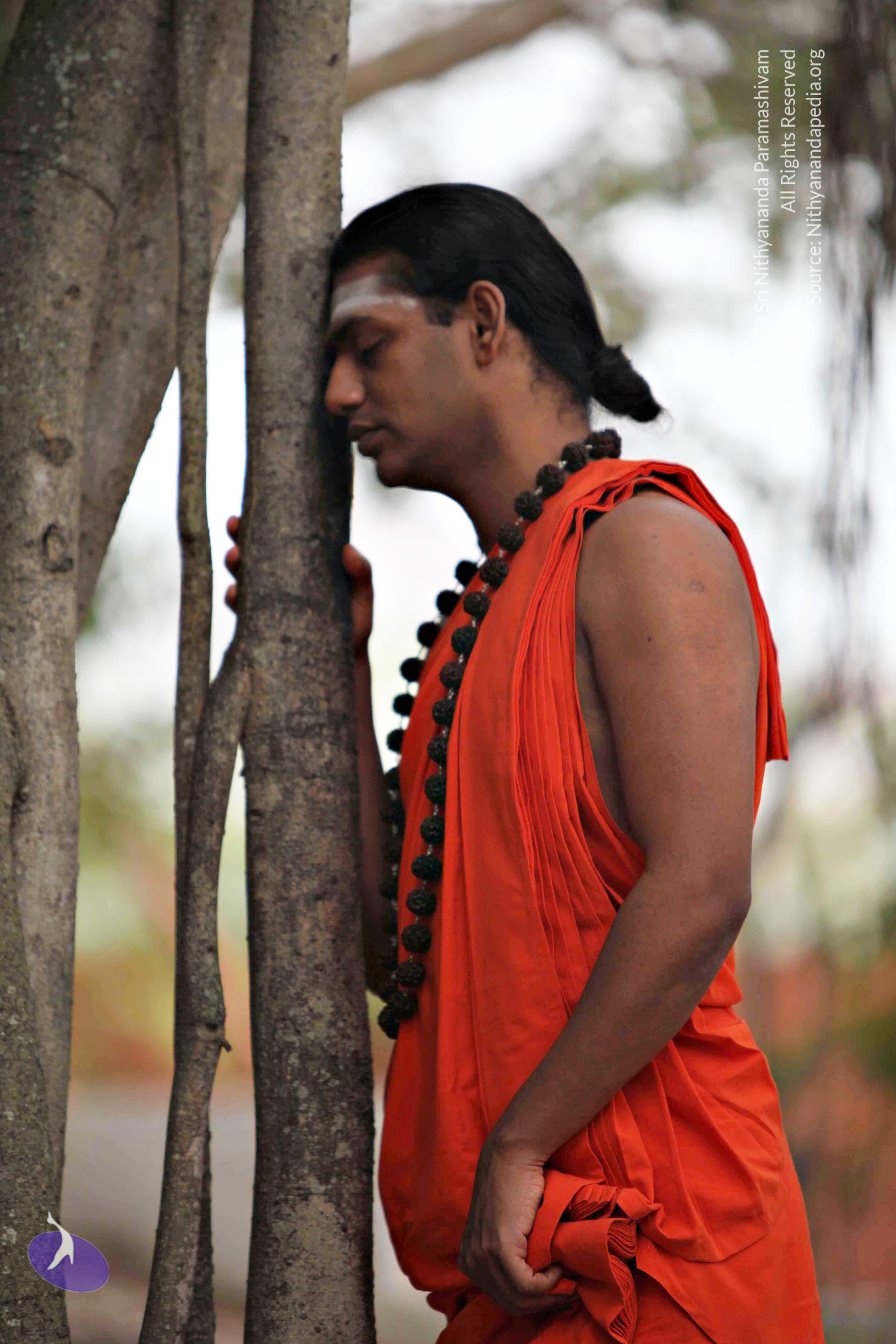 20110225_Photo_1121_IMG_0765_CMP_WM